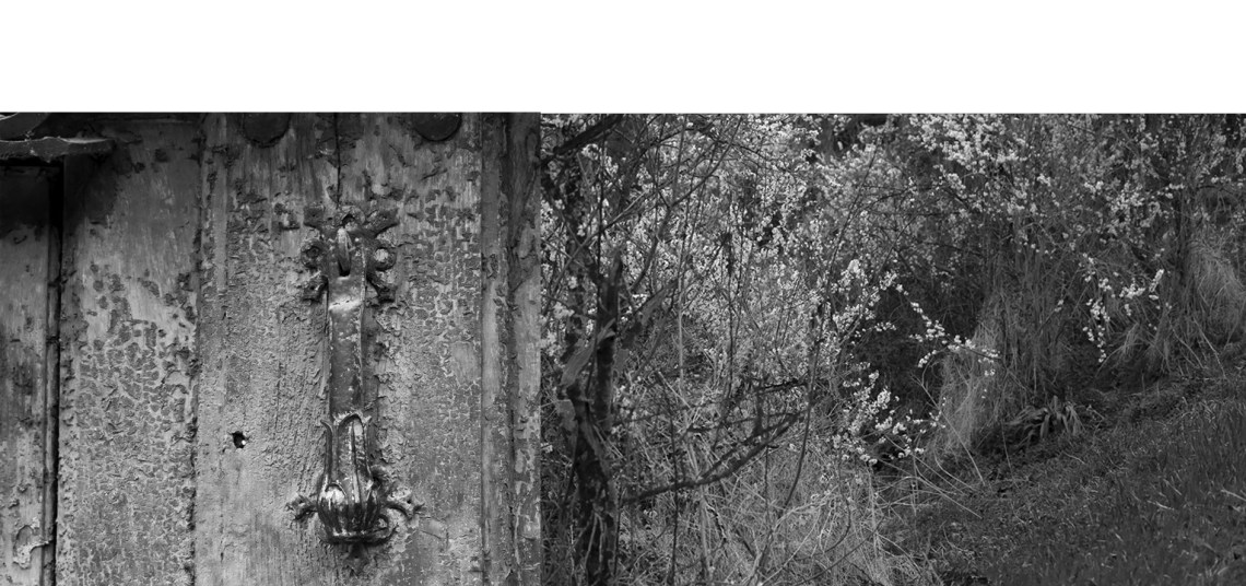 despoblación rural rakel g vaquez