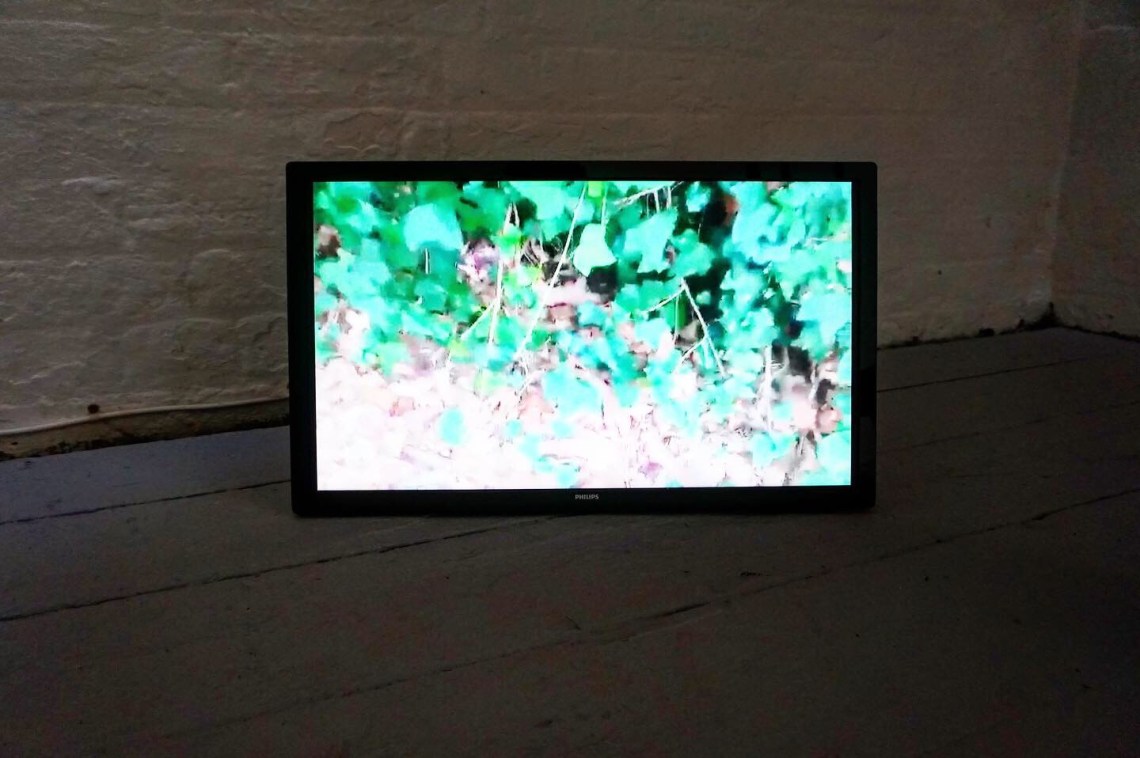 70B42738-9373-4784-9AFA-B546E365D1AB