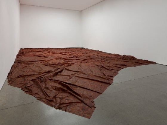 Doris Salcedo. A flor de piel.